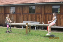 2018-07-06-kuenstler-peter-lang-gleissenberg-042